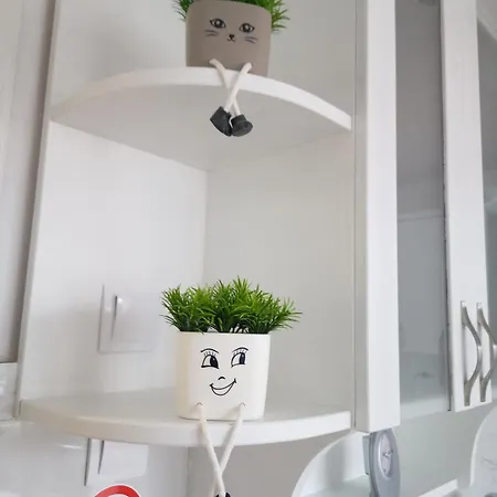 Apartment за гости Nik